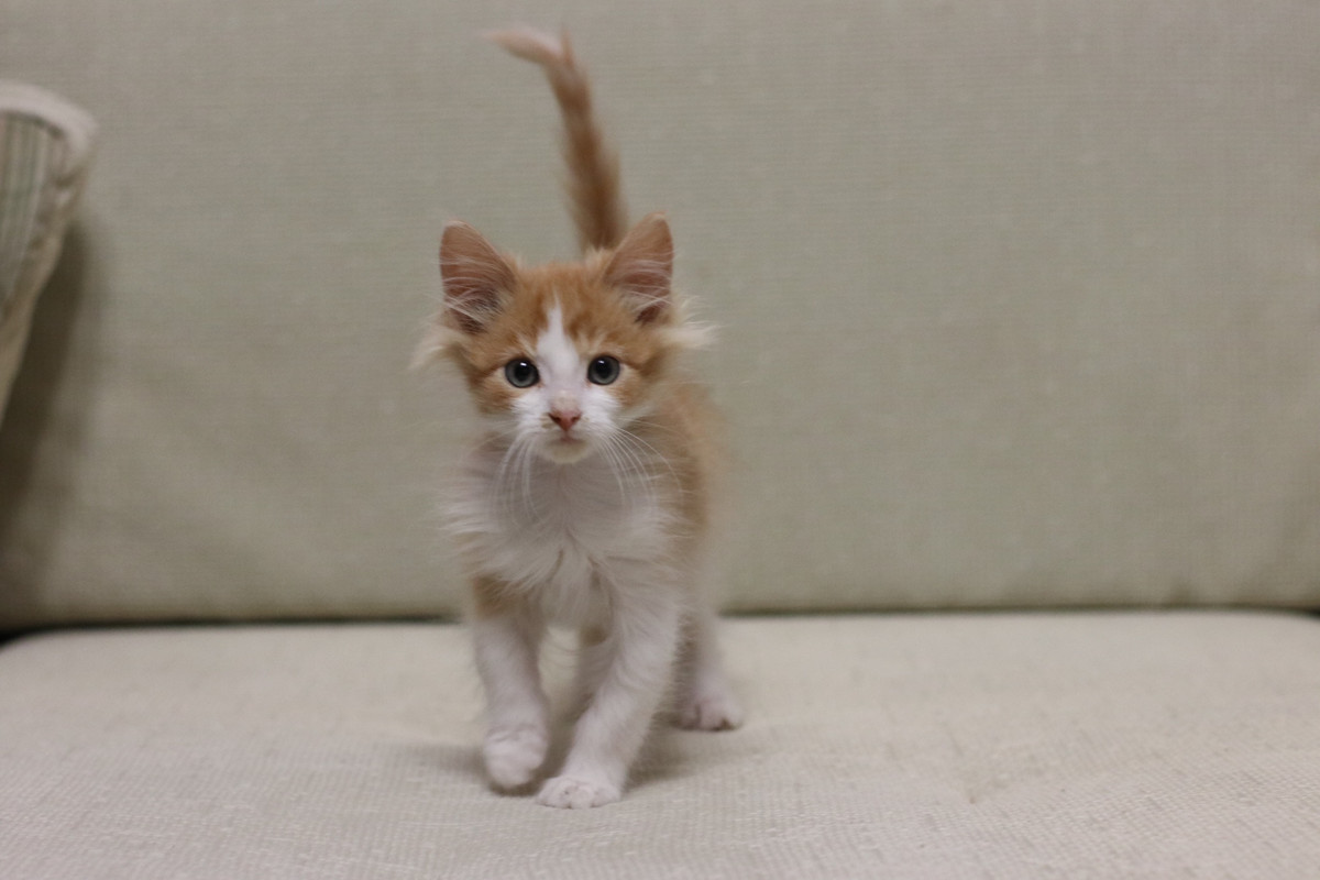 4DAA1D72-417E-4D98-94AE-161D5D2695D3