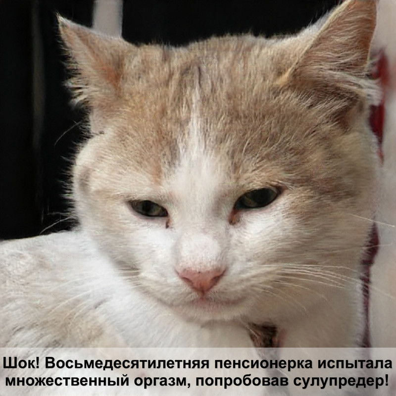 норвежская кошка окрас