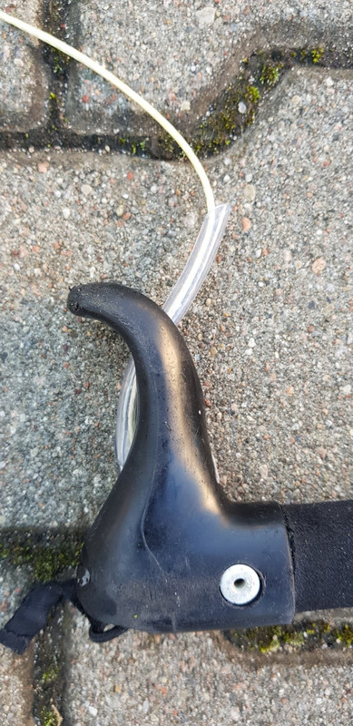 20181116_114506 (Duży)