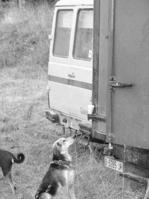 BulgariaTek After Party 2011 (13)