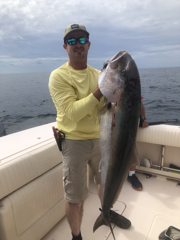 C25A3395-E09C-4084-BAA1-7A267B1230C9