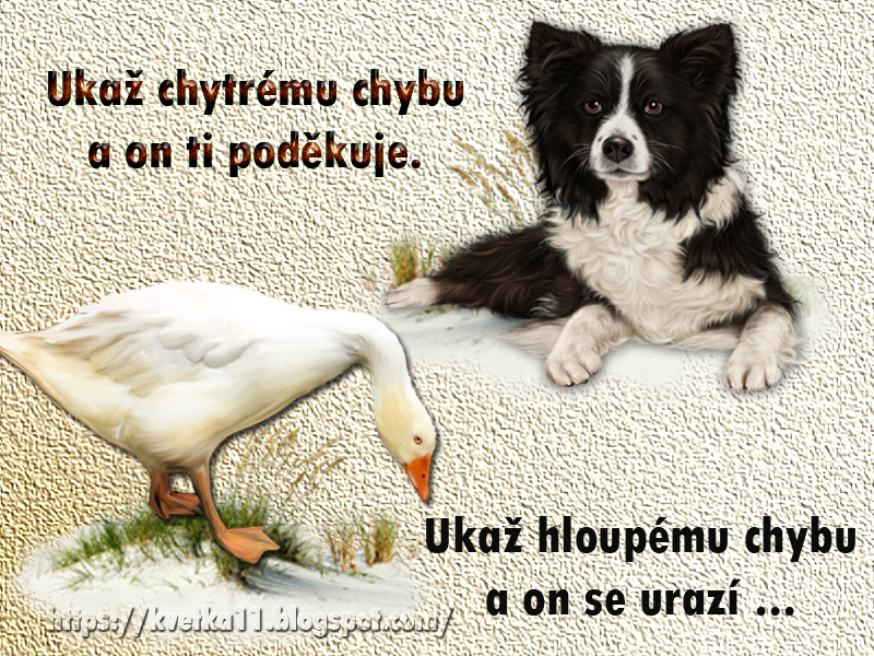 citat