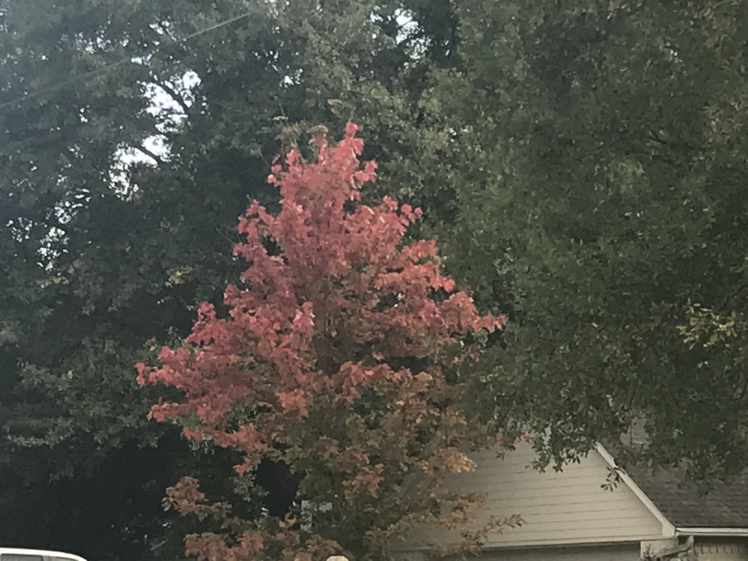 6E04DA73-5167-4D9B-89AF-82BBC8EFAC9C