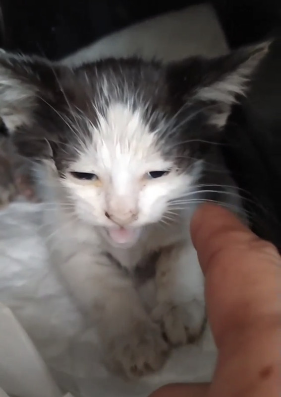 799B37E7-F689-43BF-8872-6BF5BF53ABFA