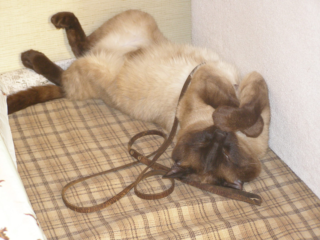 Изображение 546