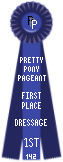 Dressage-142-Blue.png