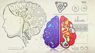 Learning to Learn [Efficient Learning] Zero to Mastery