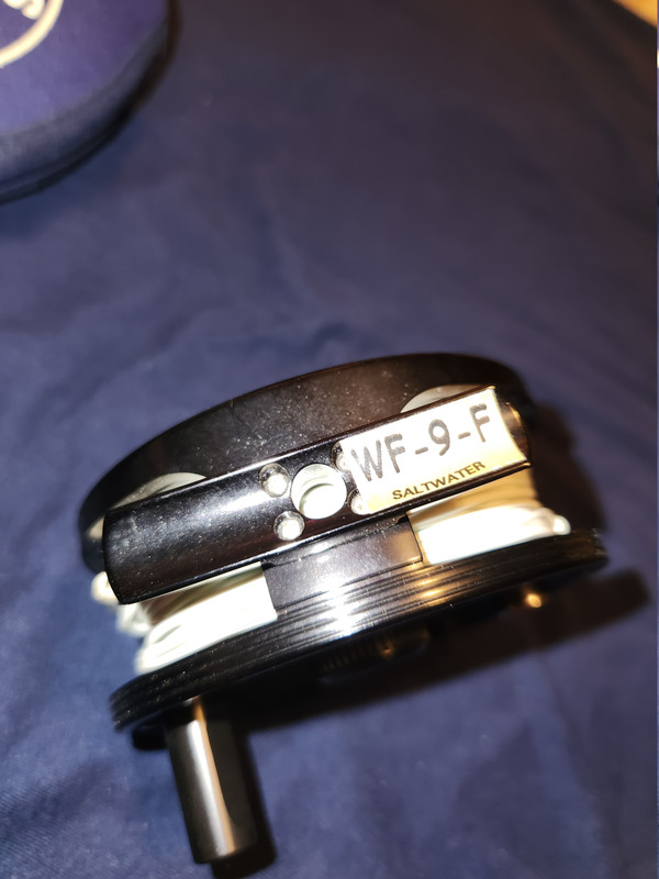 17671536347483457317228342032702