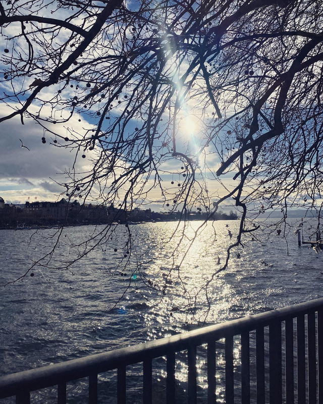 EF7A1513-38C4-4F16-80D4-71E49B6A0E12