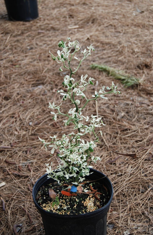 8990DE11-C381-4AAC-974C-568907688A67