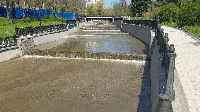 20210501-161611-1.gif