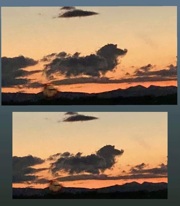 [Image: FB-IMG-1727869445768.jpg]