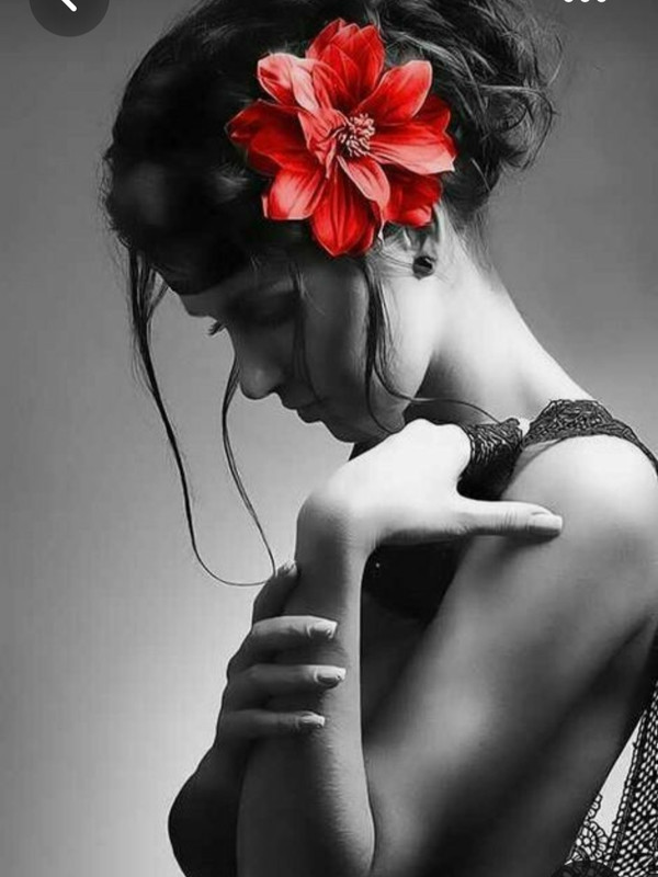 Screenshot_20230719_232153_Pinterest