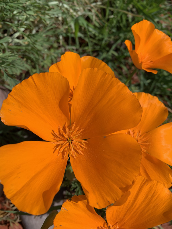 F017838B-2733-48AE-8143-D904CB3C5113