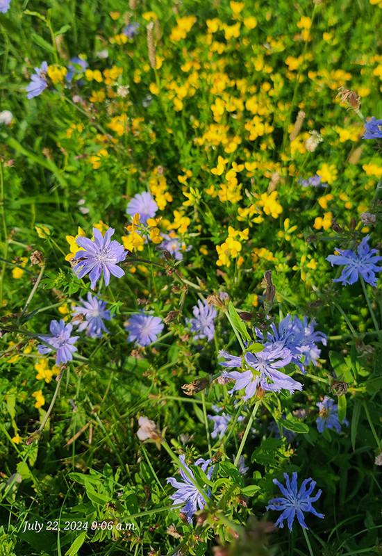 [Image: 20240722-090632.jpg]