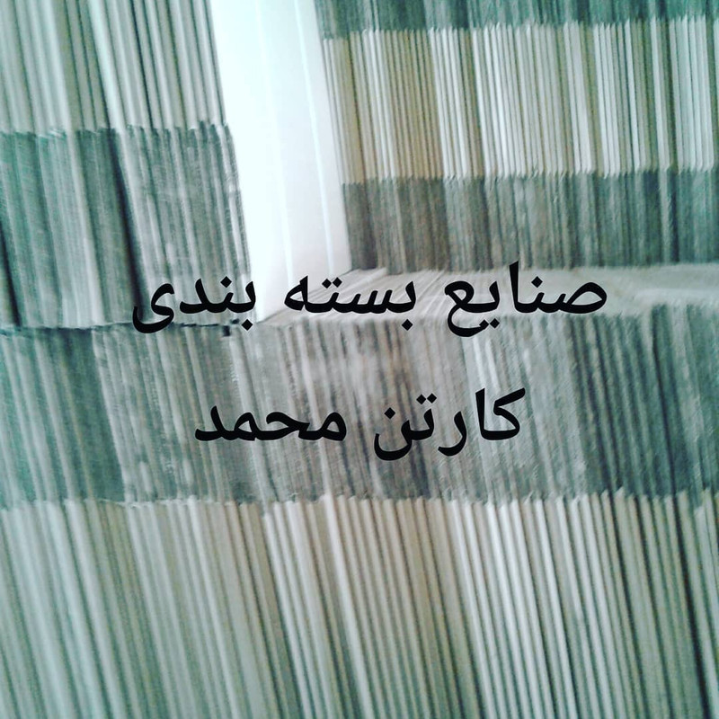 carton-mohammad (12)