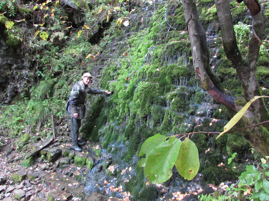 Берёзовая - Колва 071