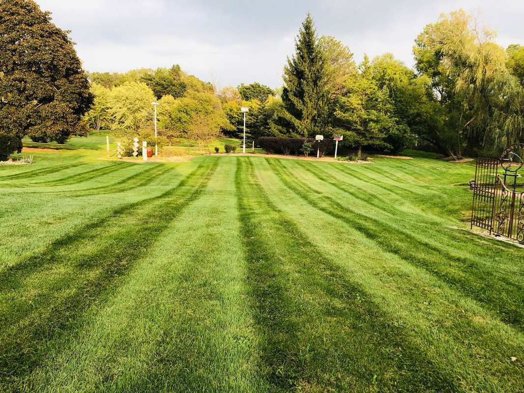 Got grass lawn care sale