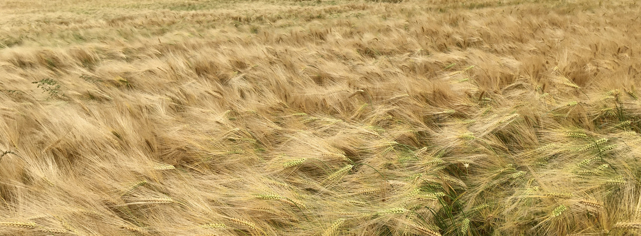 71C41C91-CEF7-4016-8156-1CCD6E9714F2