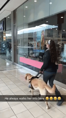 https://i.postimg.cc/cHJ48WGs/5.gif