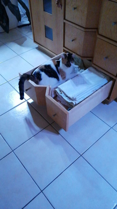 photo 2025 12 04 17 47 21