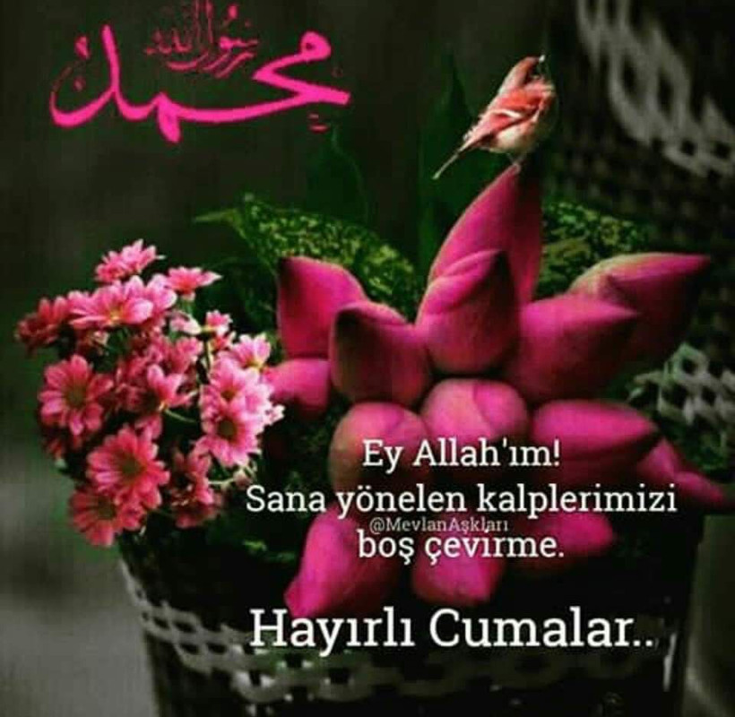 resim
