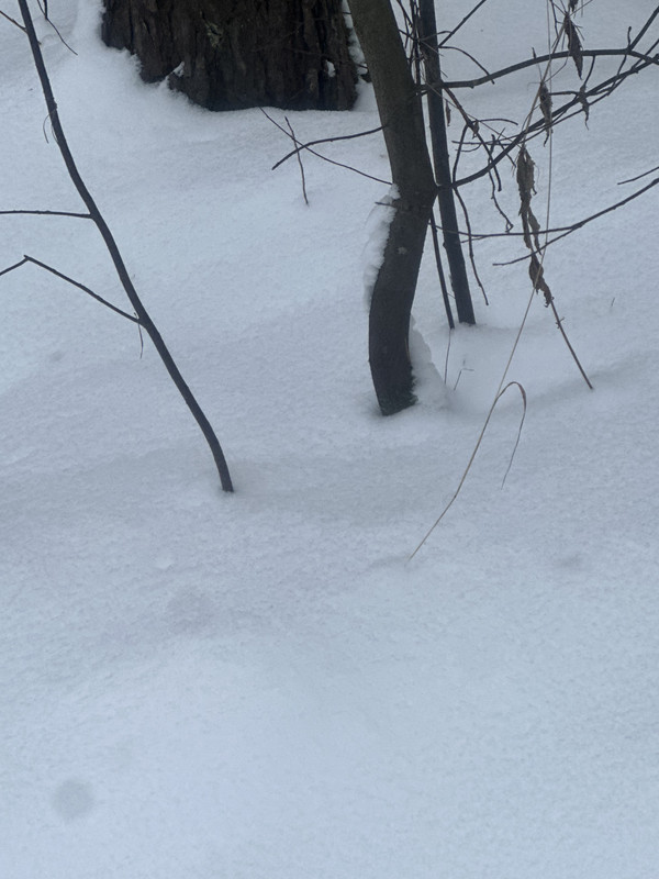 22DD5E19 1B1F 40C7 8BB1 62CA453FD3DF