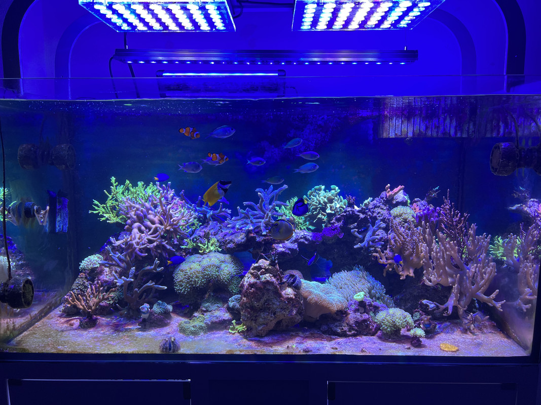 3C231AD0-D543-4CDC-B0A7-4DAC099CAC4F