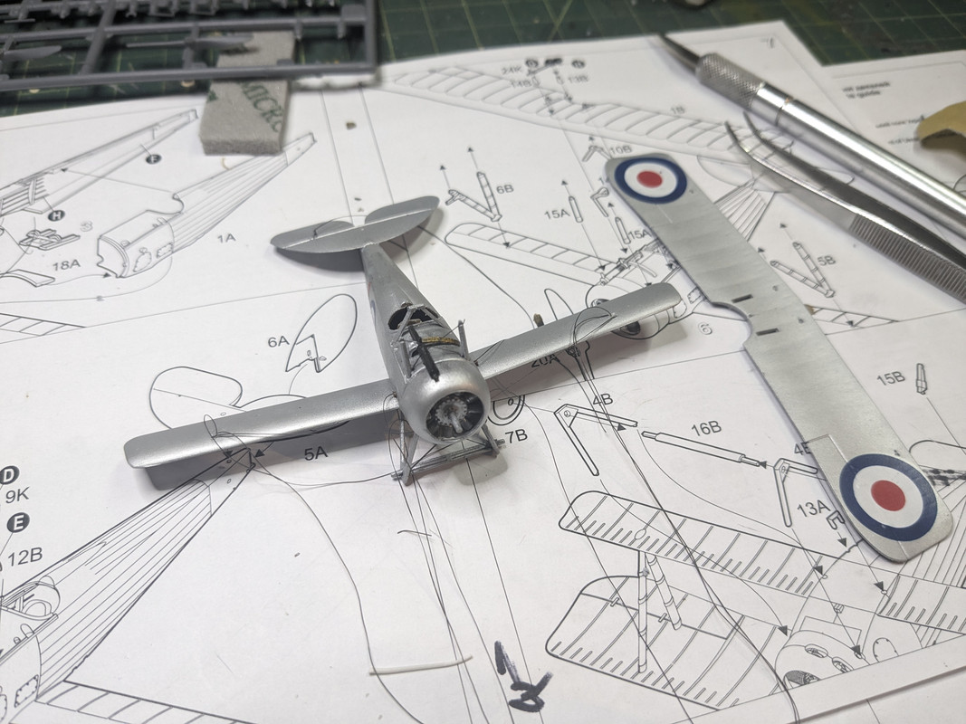 PXL_20240306_041353528