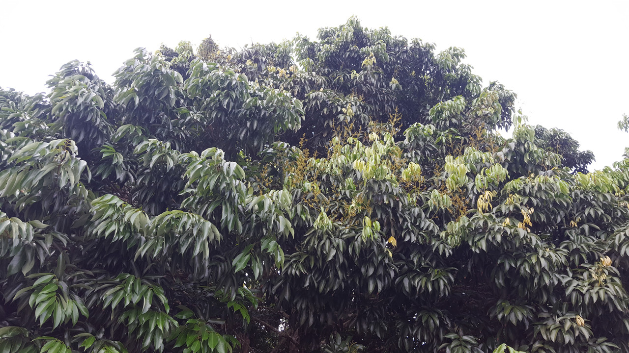 20161227_105015