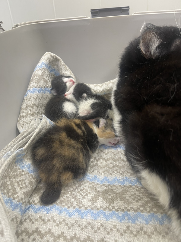 2C560E23-5F07-4AE6-868B-0FE51C1E1EDD