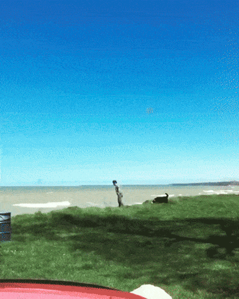 083.gif