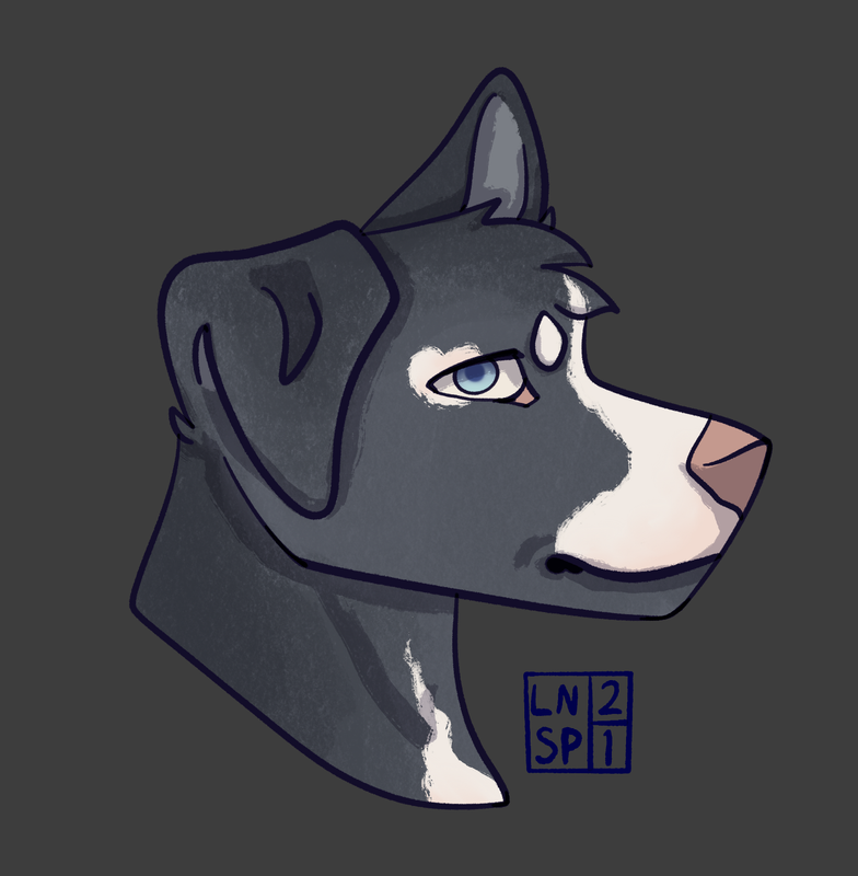 Bleh