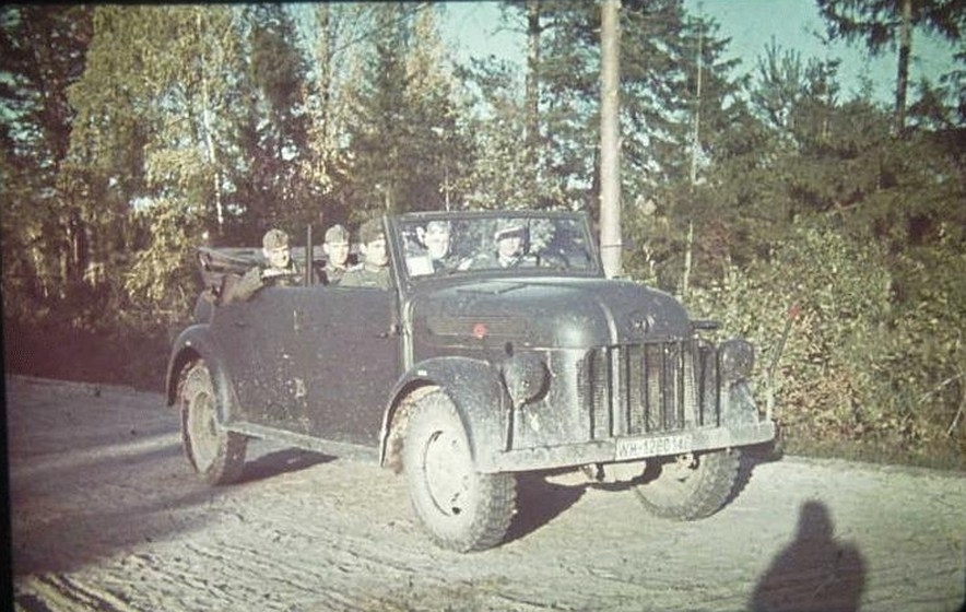 штайр в цвете