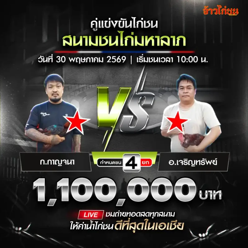 ก.กาญจนา พบ อ.เจริญทรัพย์ สนามชนไก่มหาลาภ 30 พฤษภาคม 2569