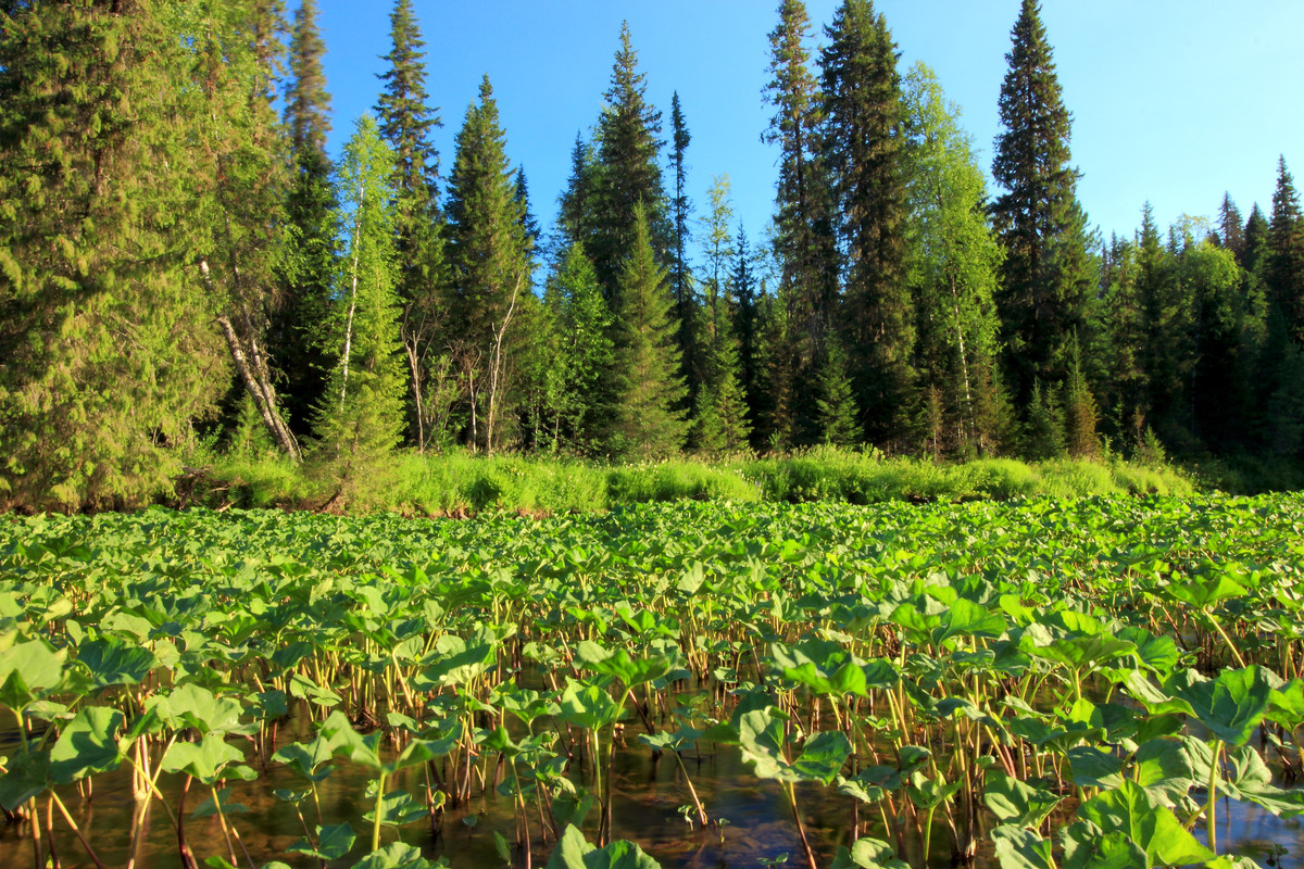 IMG_6047 (9000 x 6000)