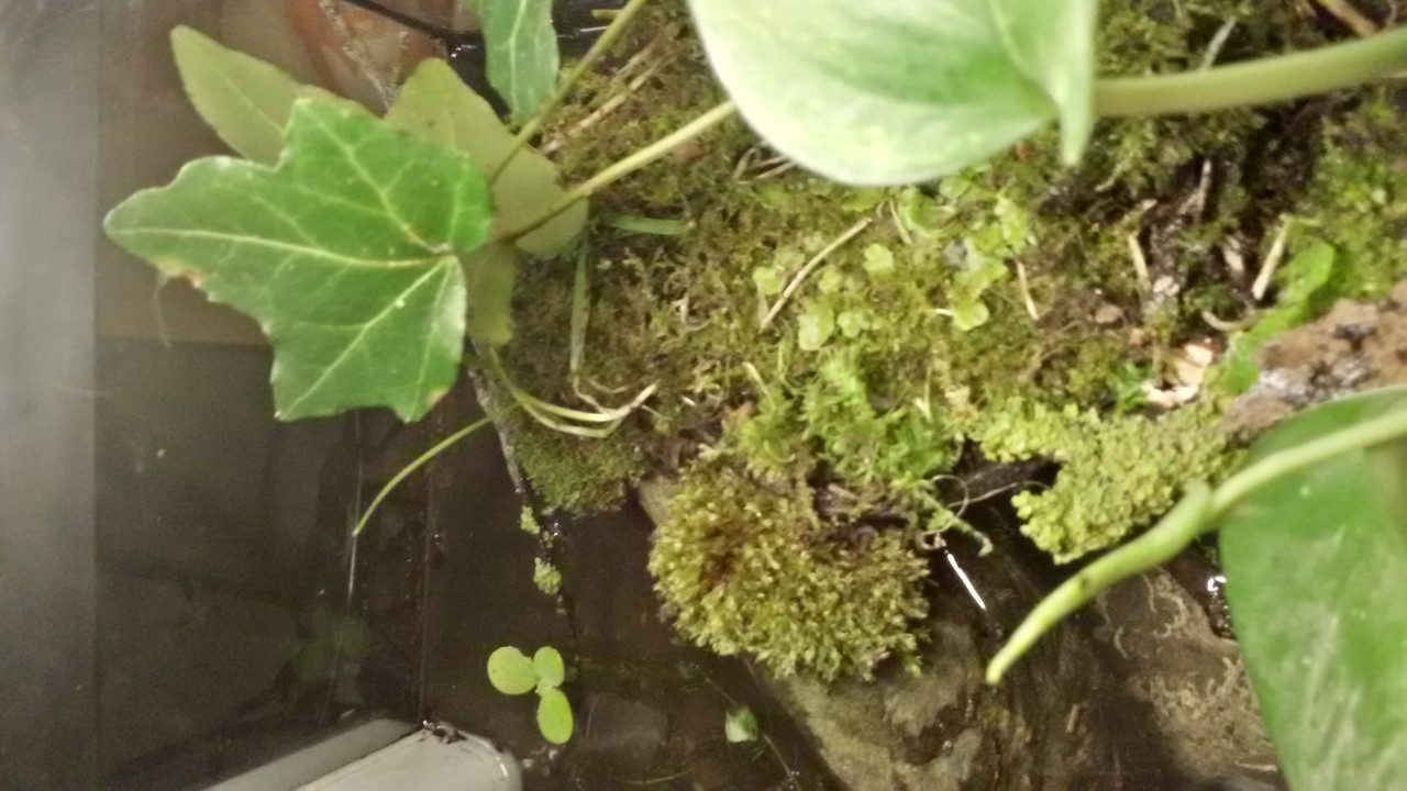 20141028_171448_Richtone(HDR)