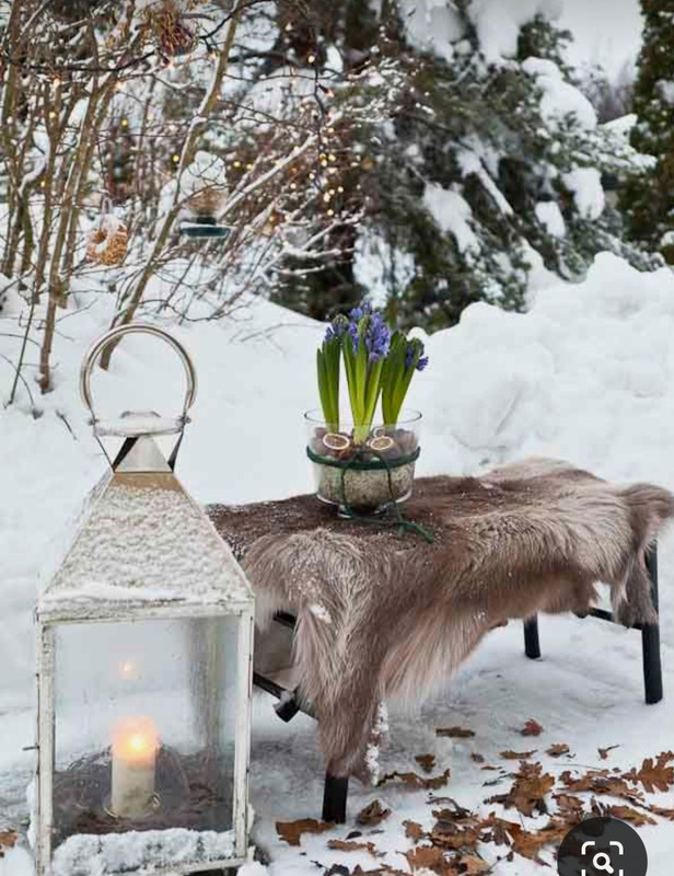 Screenshot_20230926_155904_Pinterest