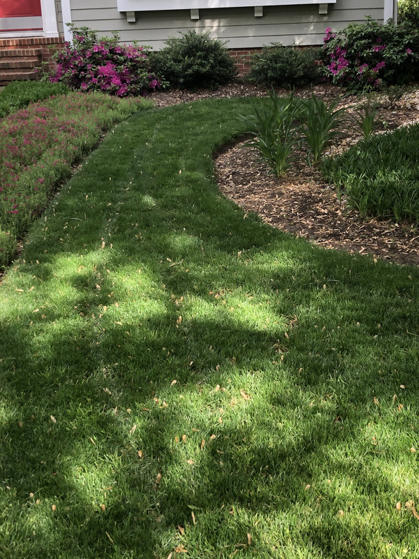 49F9D776-7B7C-43E2-B964-3FA3CC38A494