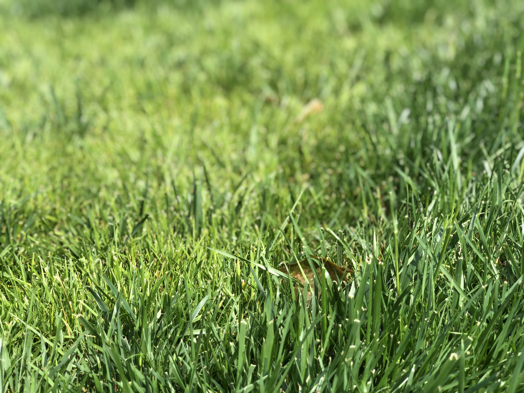 83F70680-FA5E-4A42-9638-FAAE7A79F2A6