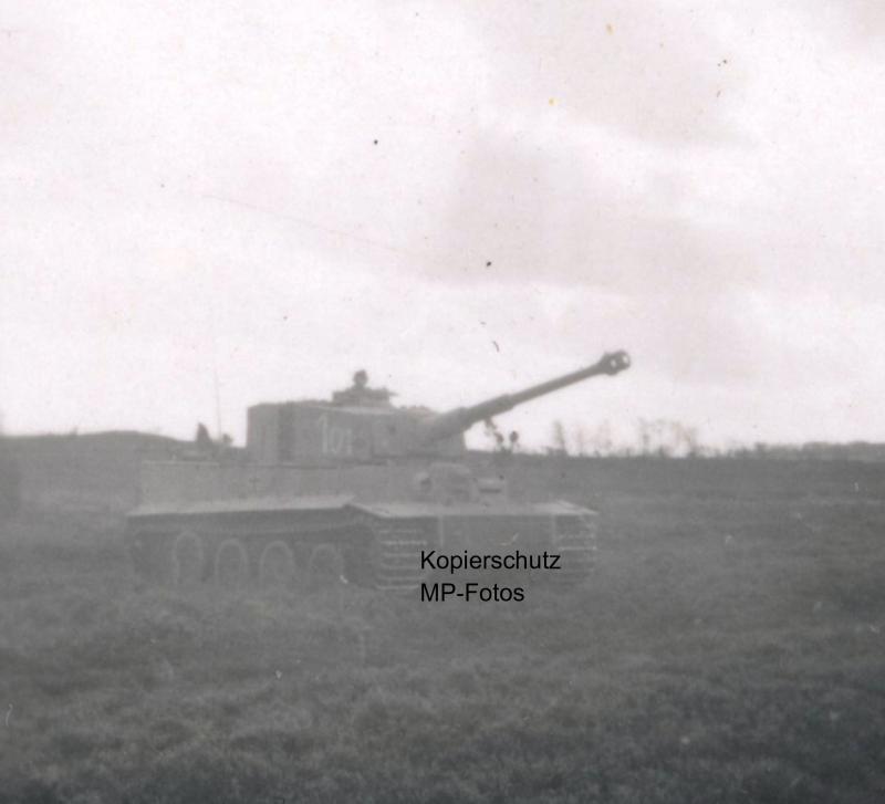 Panzer LW Felddivision HG Tiger Camo Tarn Späh S