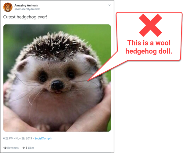 fake hedgehog doll