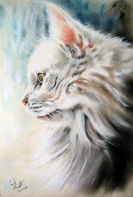 Daydreamer-by-astarvinartist