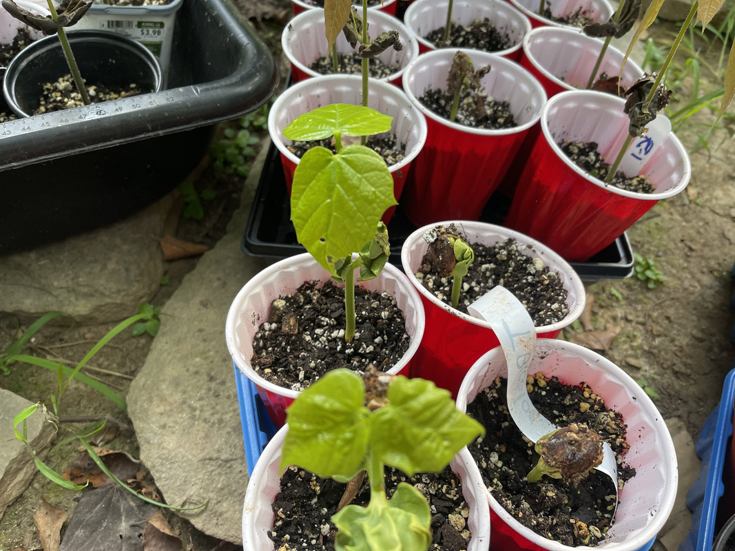 796EC9FA-CEFB-4C28-A8A2-9E5F06947270