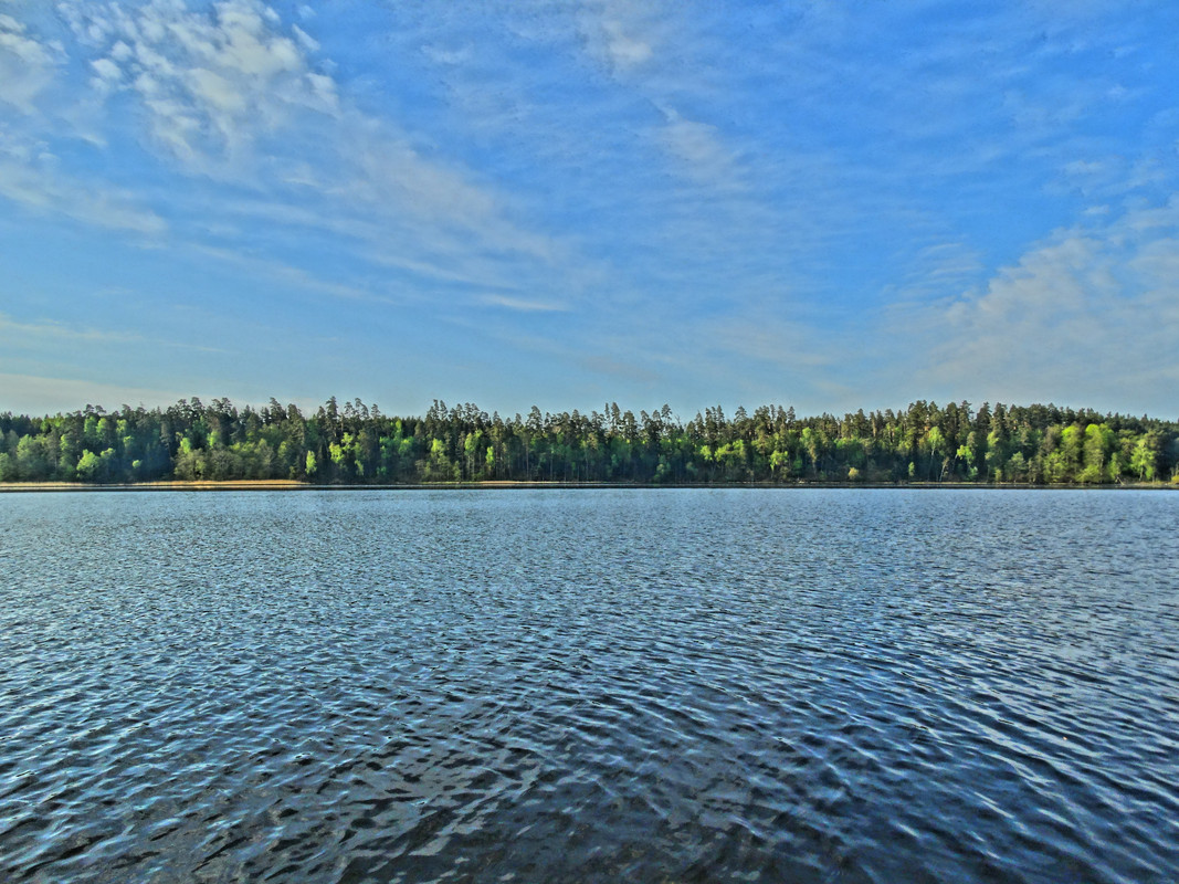 14.06 - DSC09215 (Czesio1)