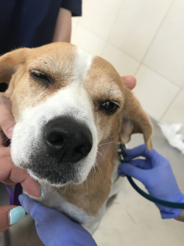 94A094B1-6859-40FC-89B7-948D8C430FE9