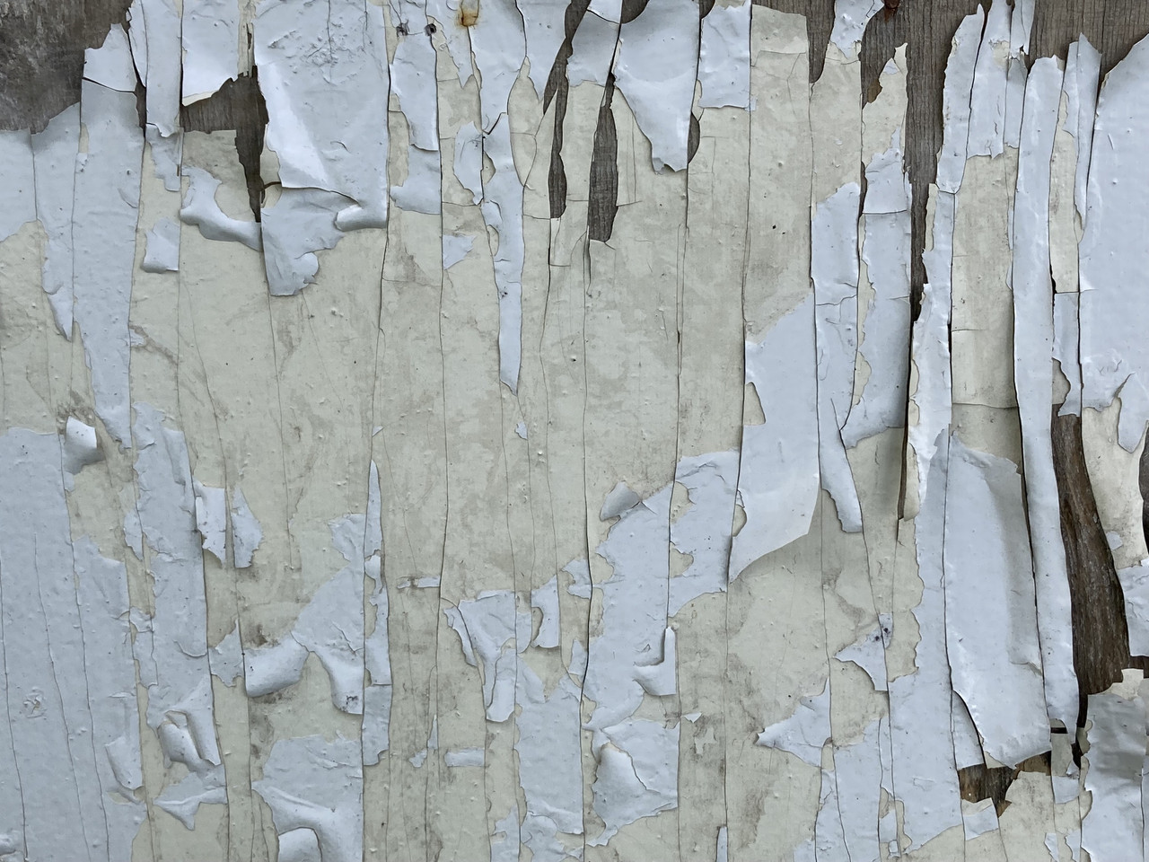 Abstract Composition No 1 or Just Peeling Paintwork