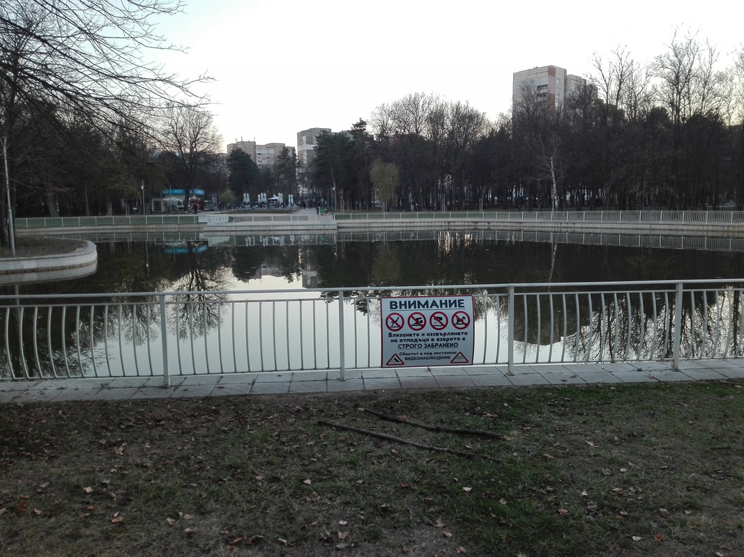 IMG-20181112-170523.jpg
