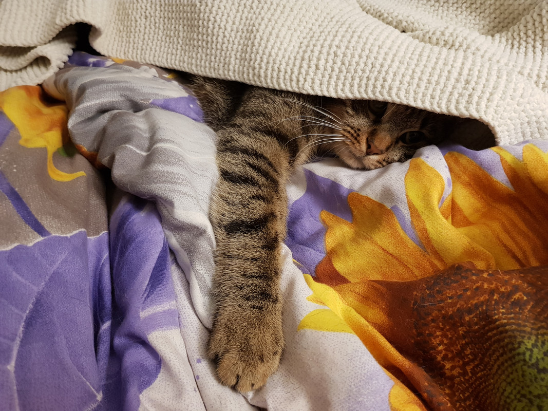 20190929-221427.jpg