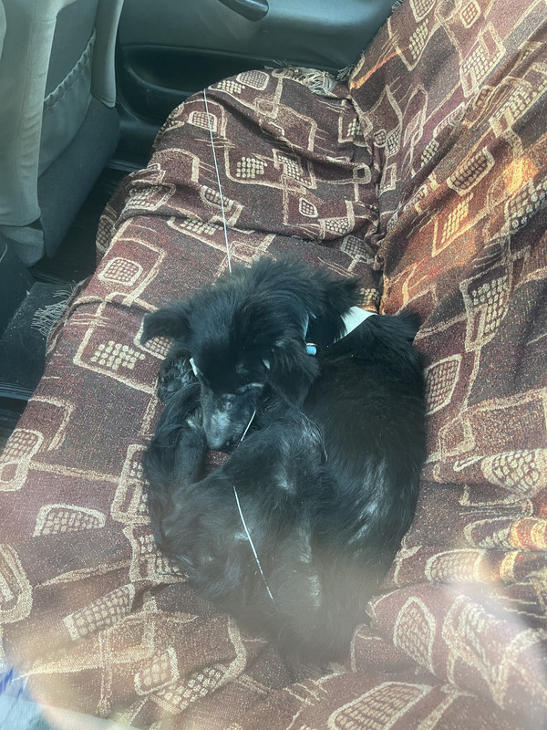 BF698267-AFBC-40CC-BB02-4164C5F557E5